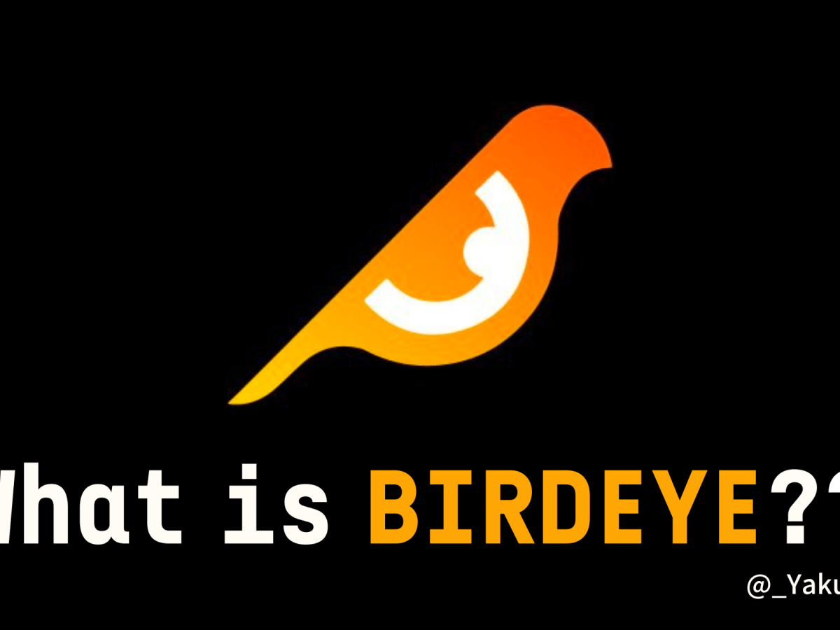 【Birdeye】Solana用チャートアプリ徹底解説