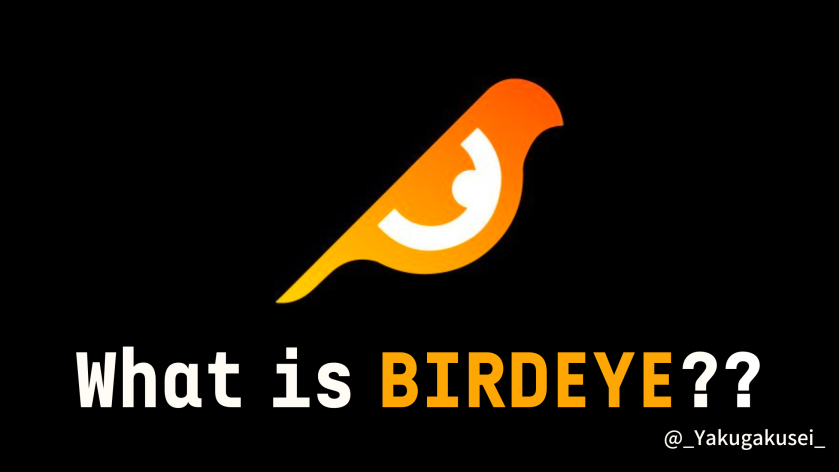 【Birdeye】Solana用チャートアプリ徹底解説